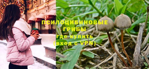 герыч Алзамай