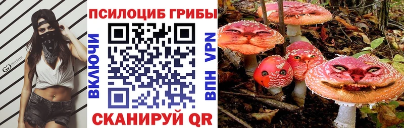 Галлюциногенные грибы Magic Shrooms  продажа наркотиков  мега ONION  Миньяр 